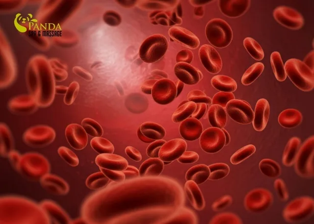 발 마사지 슬리퍼